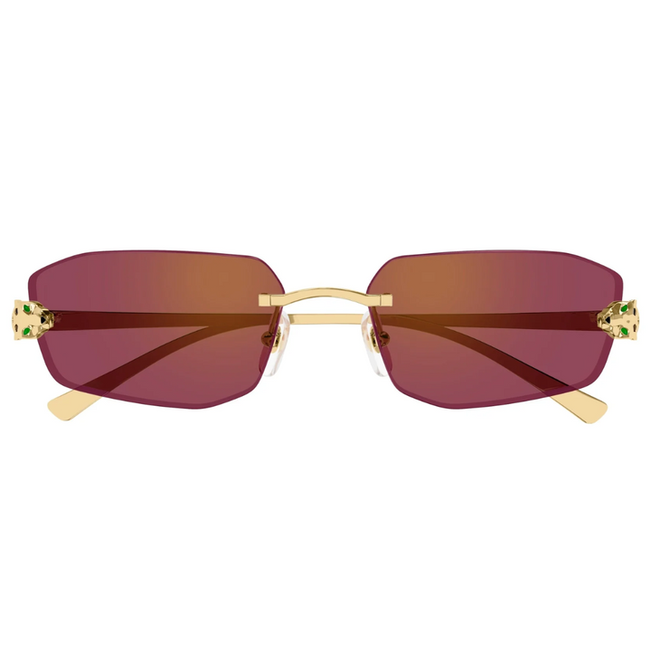 Cartier Ct0474s 002