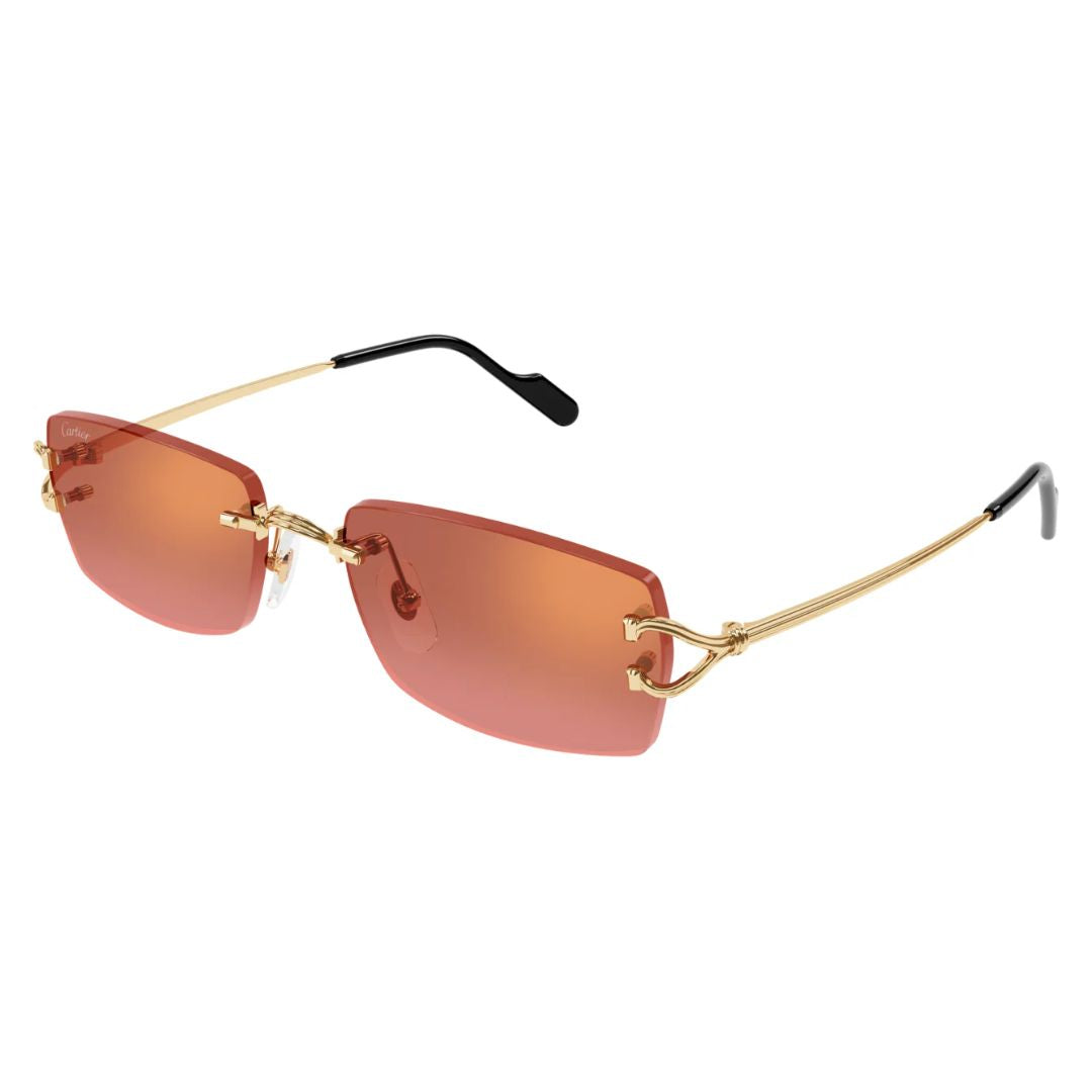 Cartier CT0550S 005