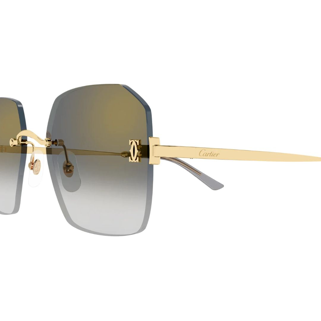Cartier CT0591S 001