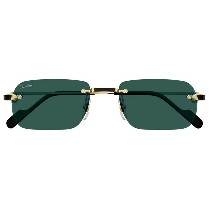 Cartier Ct0498s 003