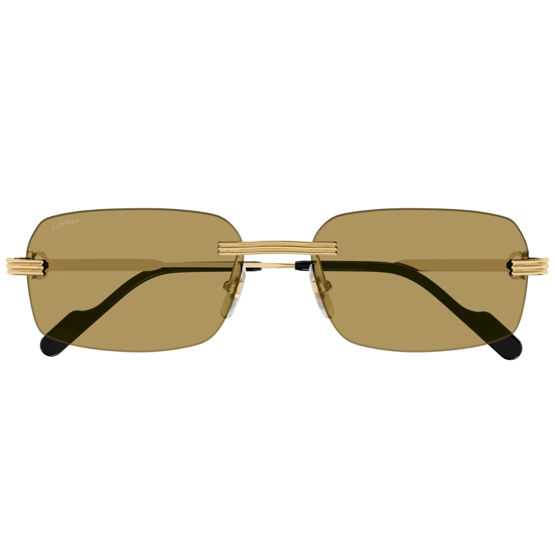 Cartier Ct0271s 009