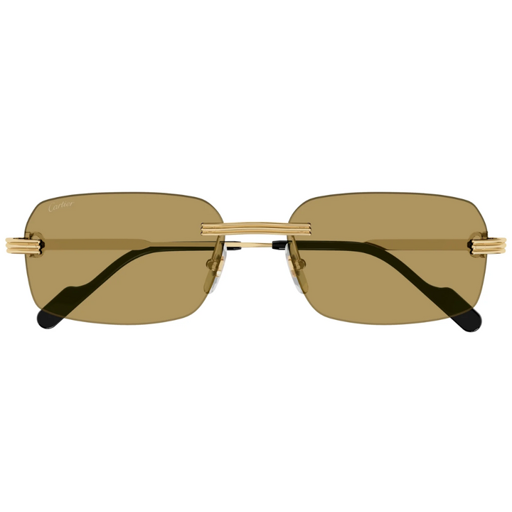 Cartier Ct0271s 009