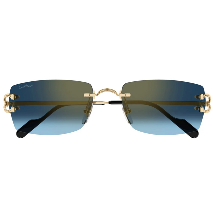 Cartier Ct0550s 003