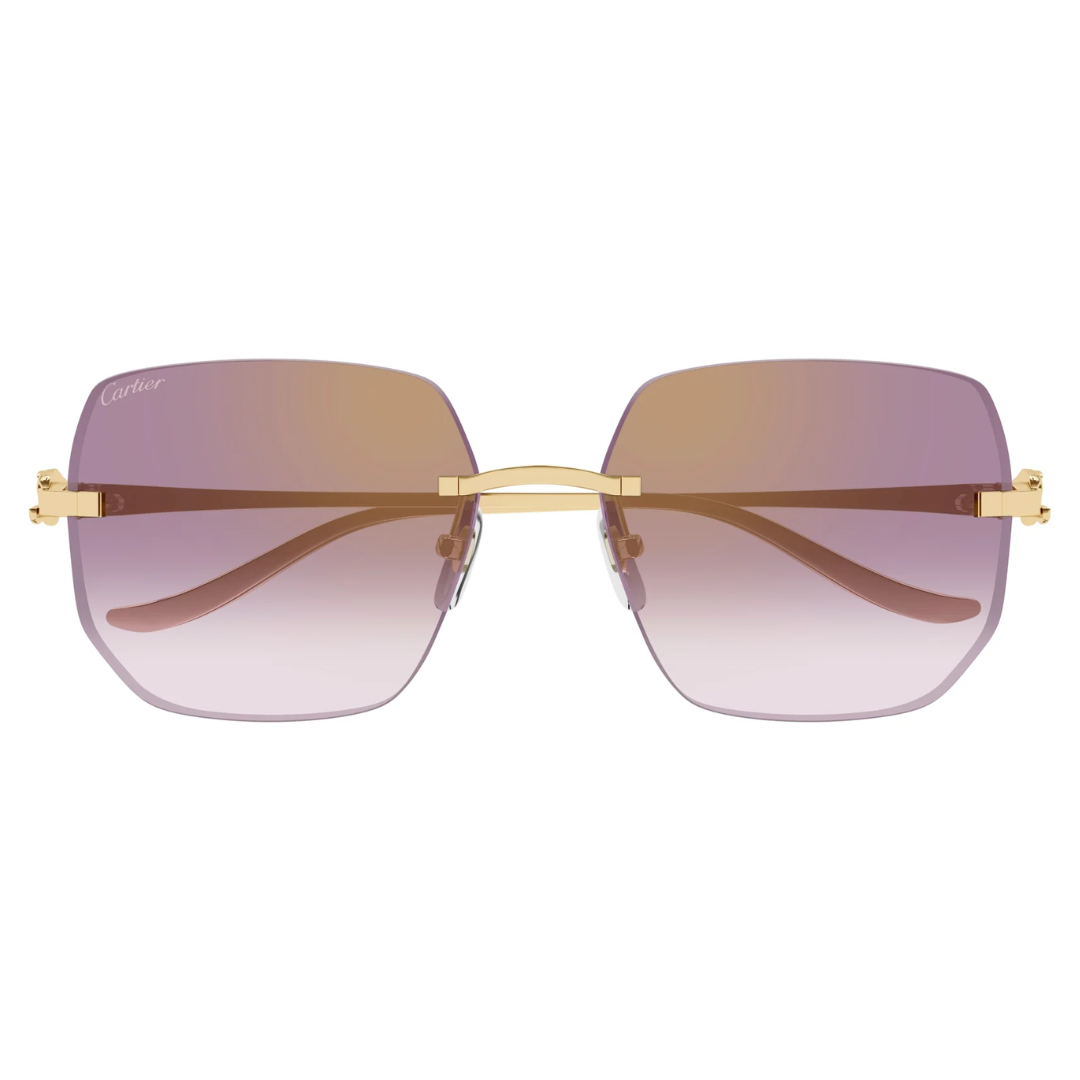 Cartier Ct0549s 004