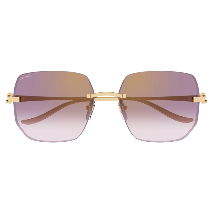 Cartier Ct0549s 004