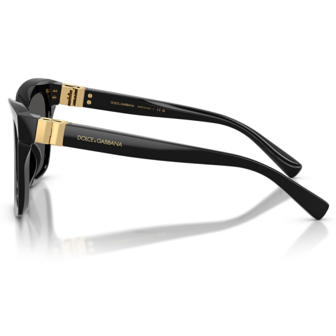 Dolce & Gabbana Dg4498 501/87