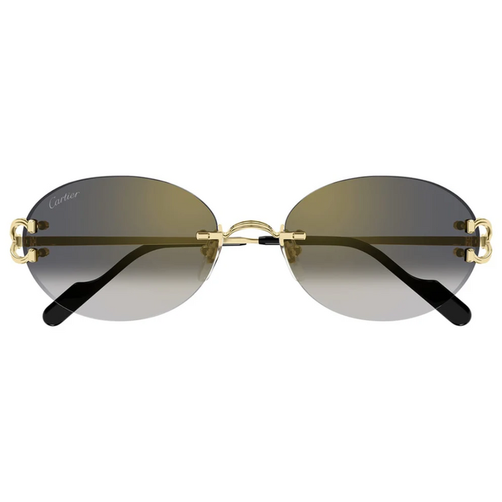 Cartier Ct0551s 001