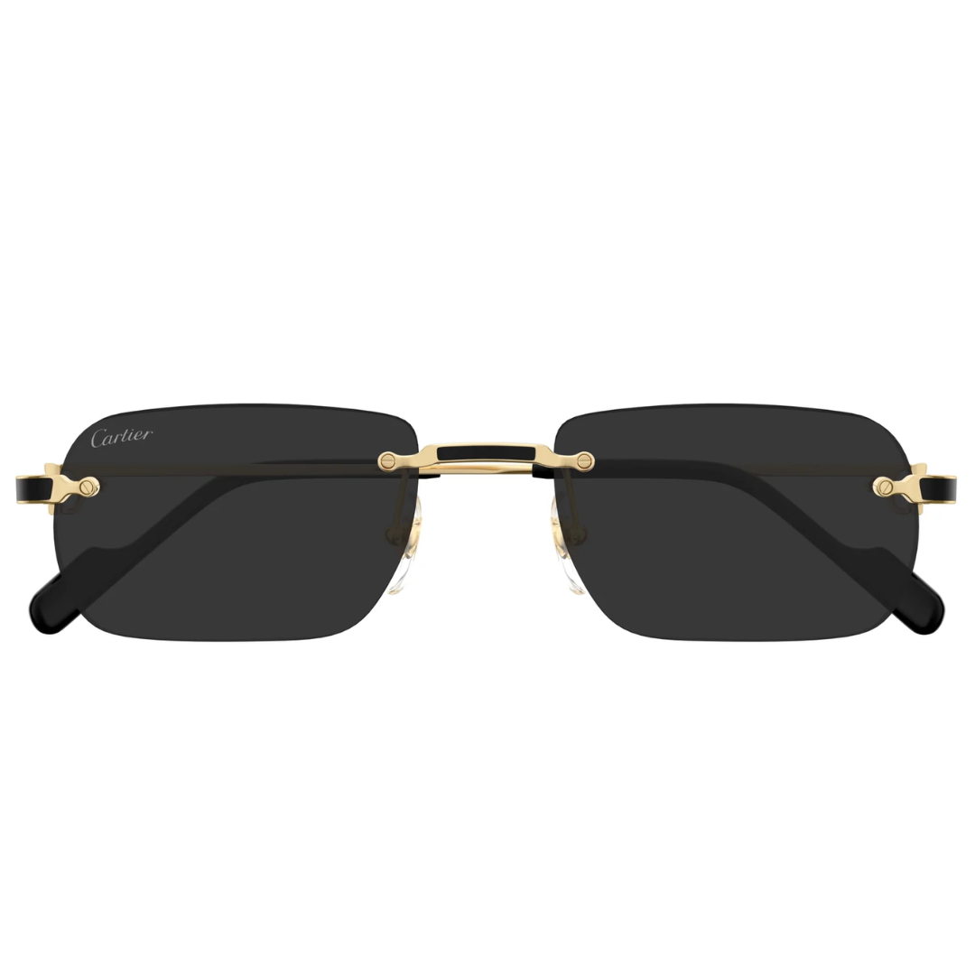 Cartier Ct0498s 001