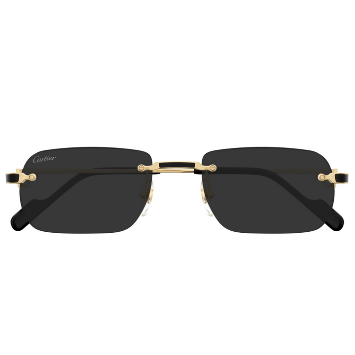 Cartier Ct0498s 001