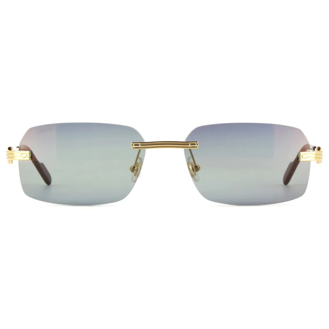 Cartier Ct0271s 006