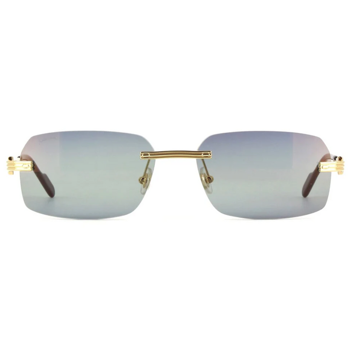 Cartier Ct0271s 006