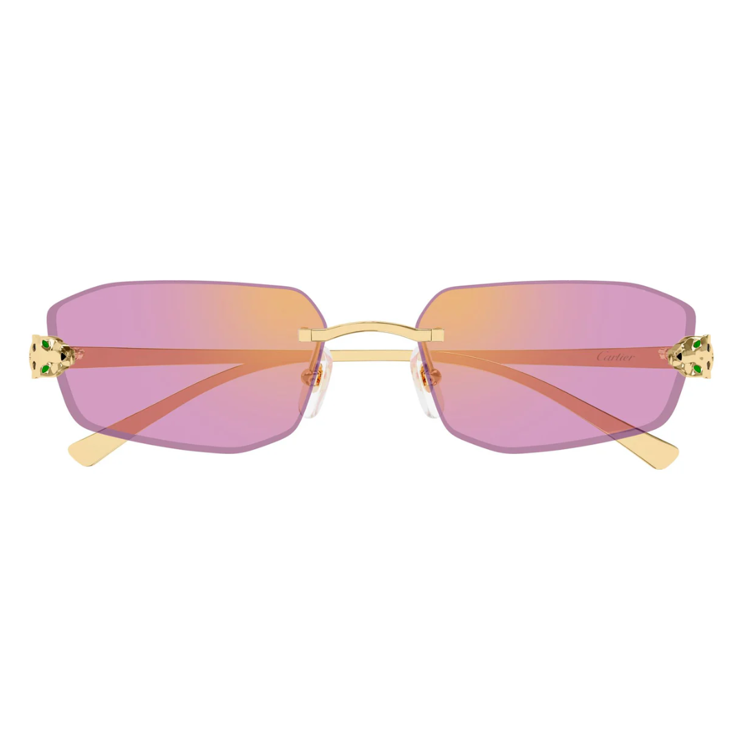 Cartier CT0474S 006