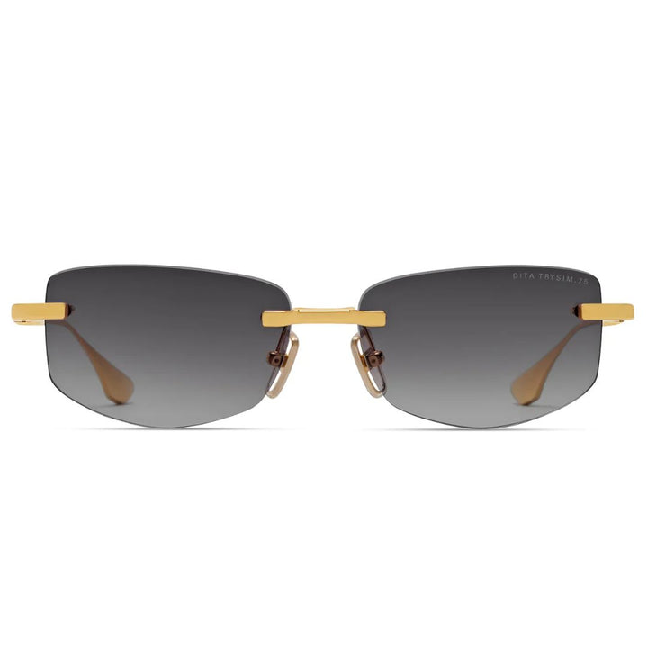 Dita Dts182a 01 TRYSIM.75