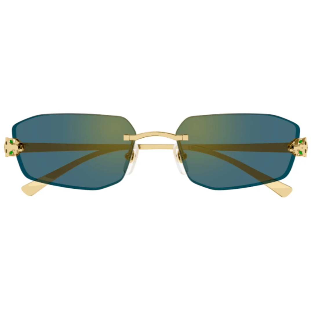 Cartier Ct0474s 003