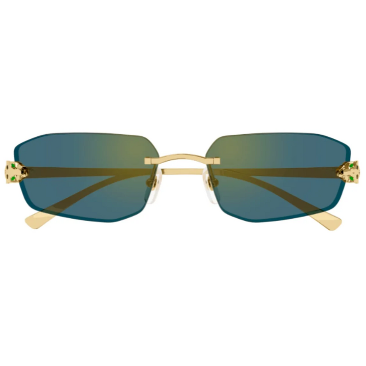Cartier Ct0474s 003