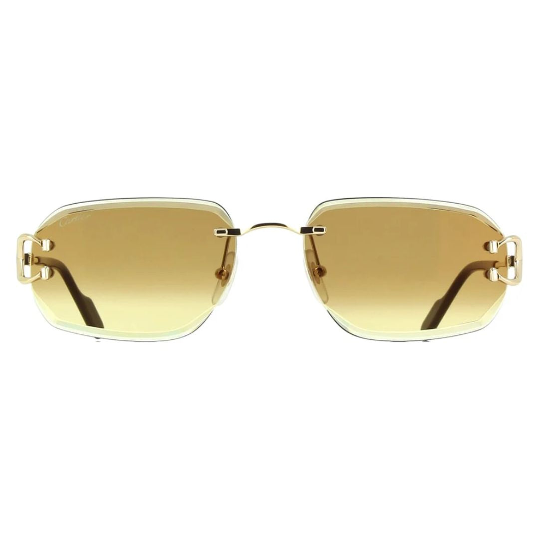 Cartier CT0468S 004