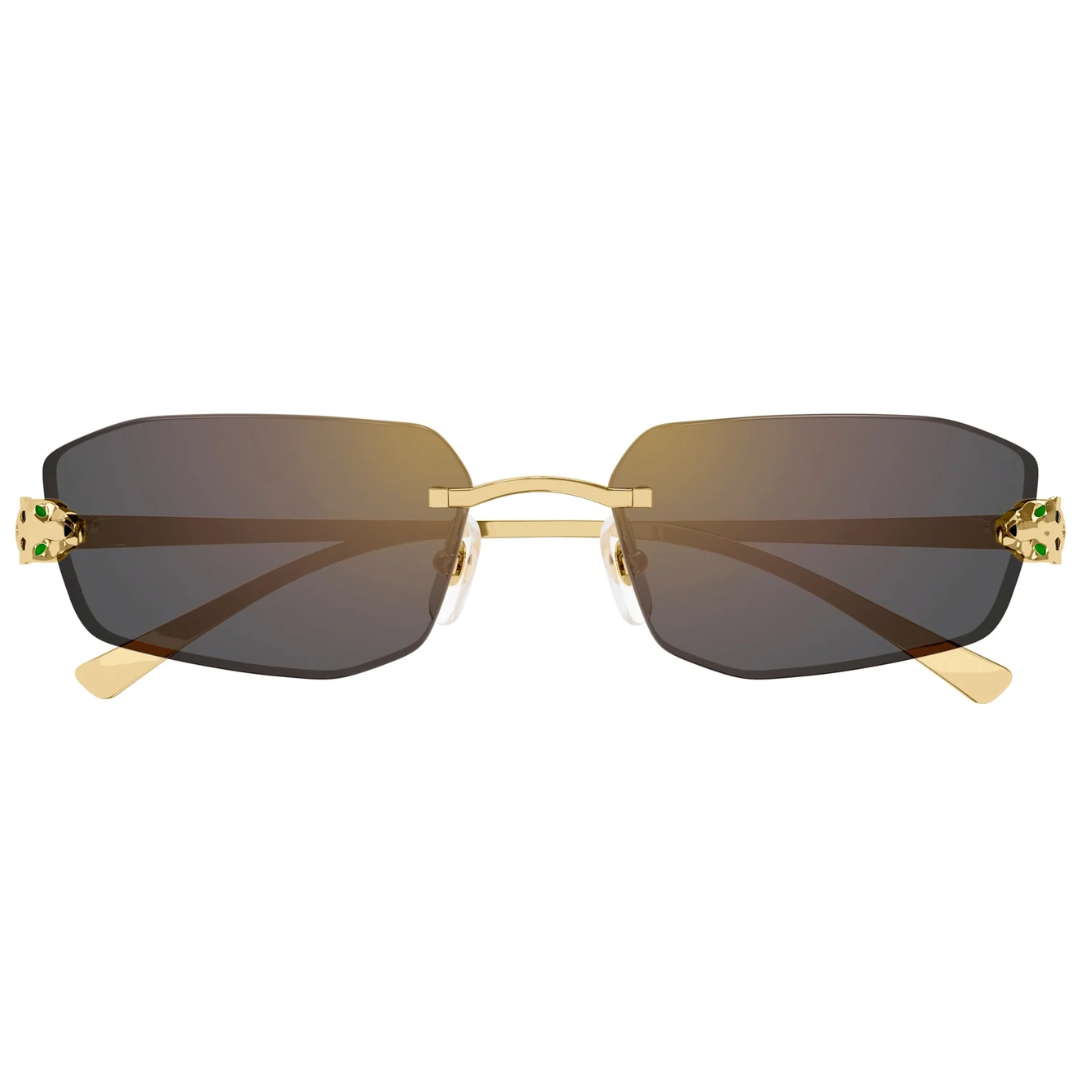 Cartier Ct0474s 001