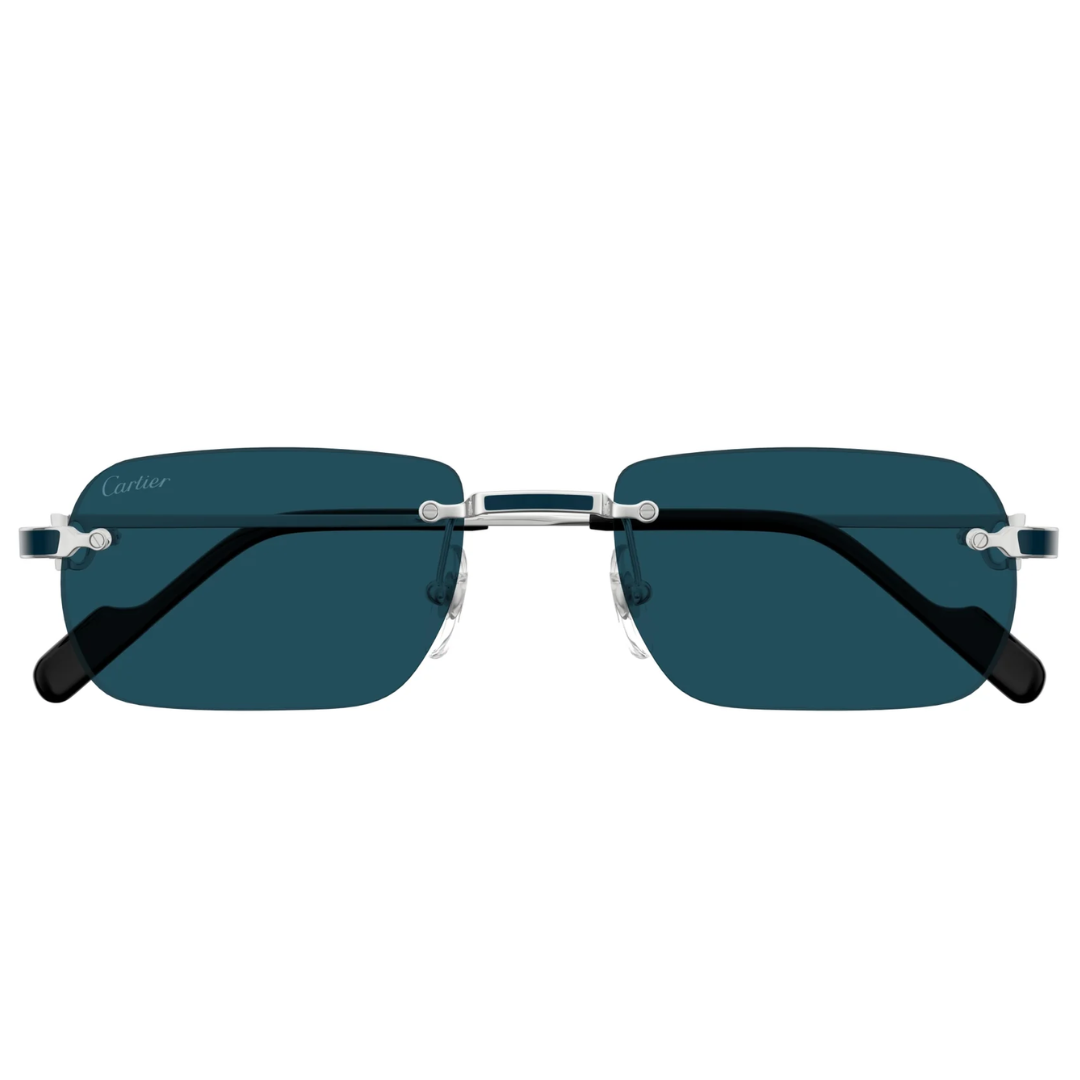 Cartier Ct0498s 004