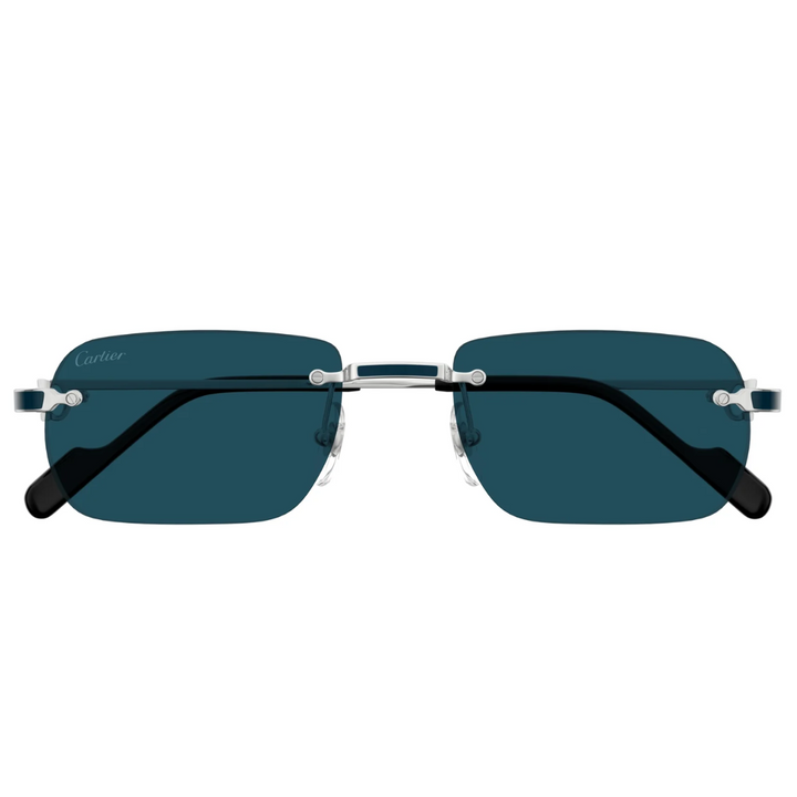Cartier Ct0498s 004