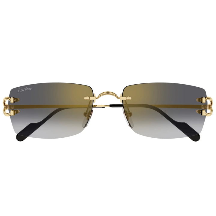 Cartier Ct0550s 002