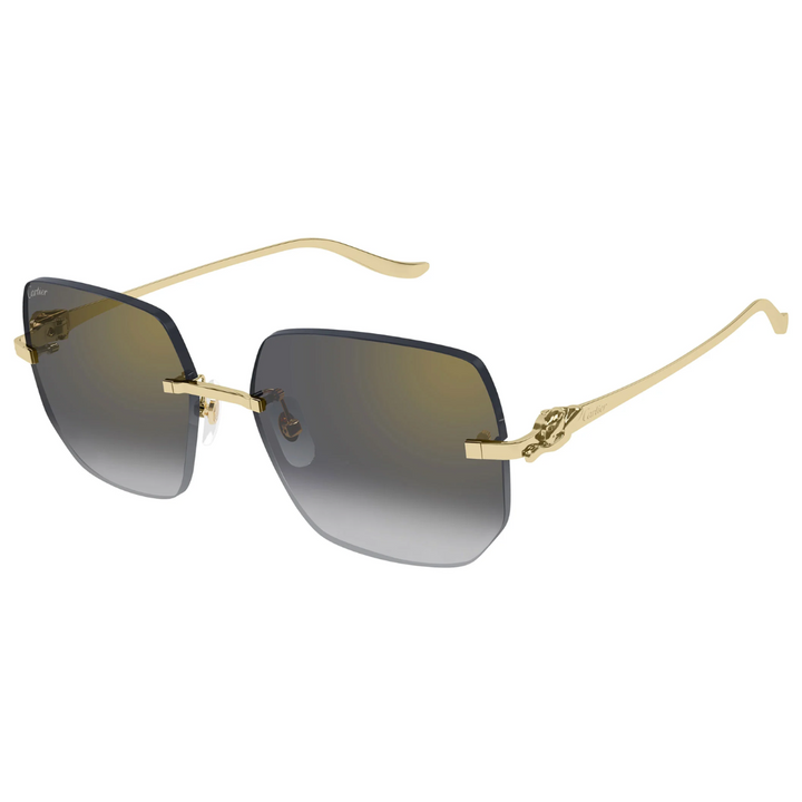 Cartier Ct0549s 001
