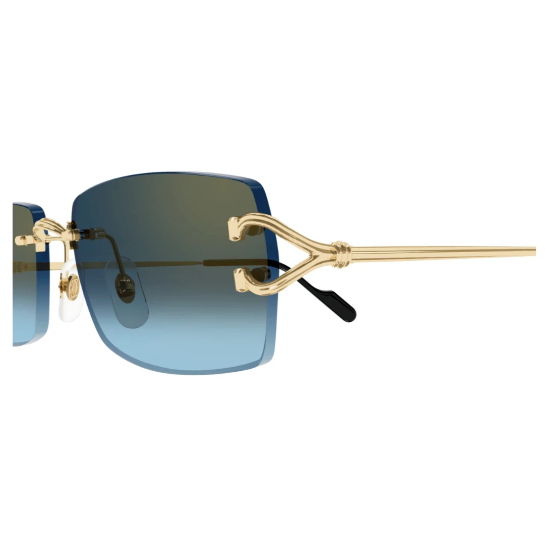 Cartier Ct0550s 003