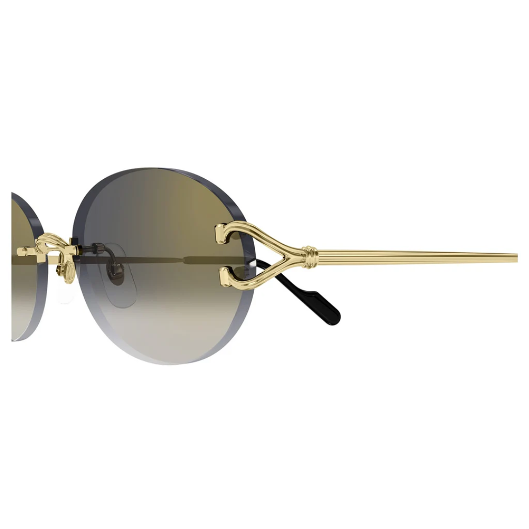 Cartier Ct0551s 001