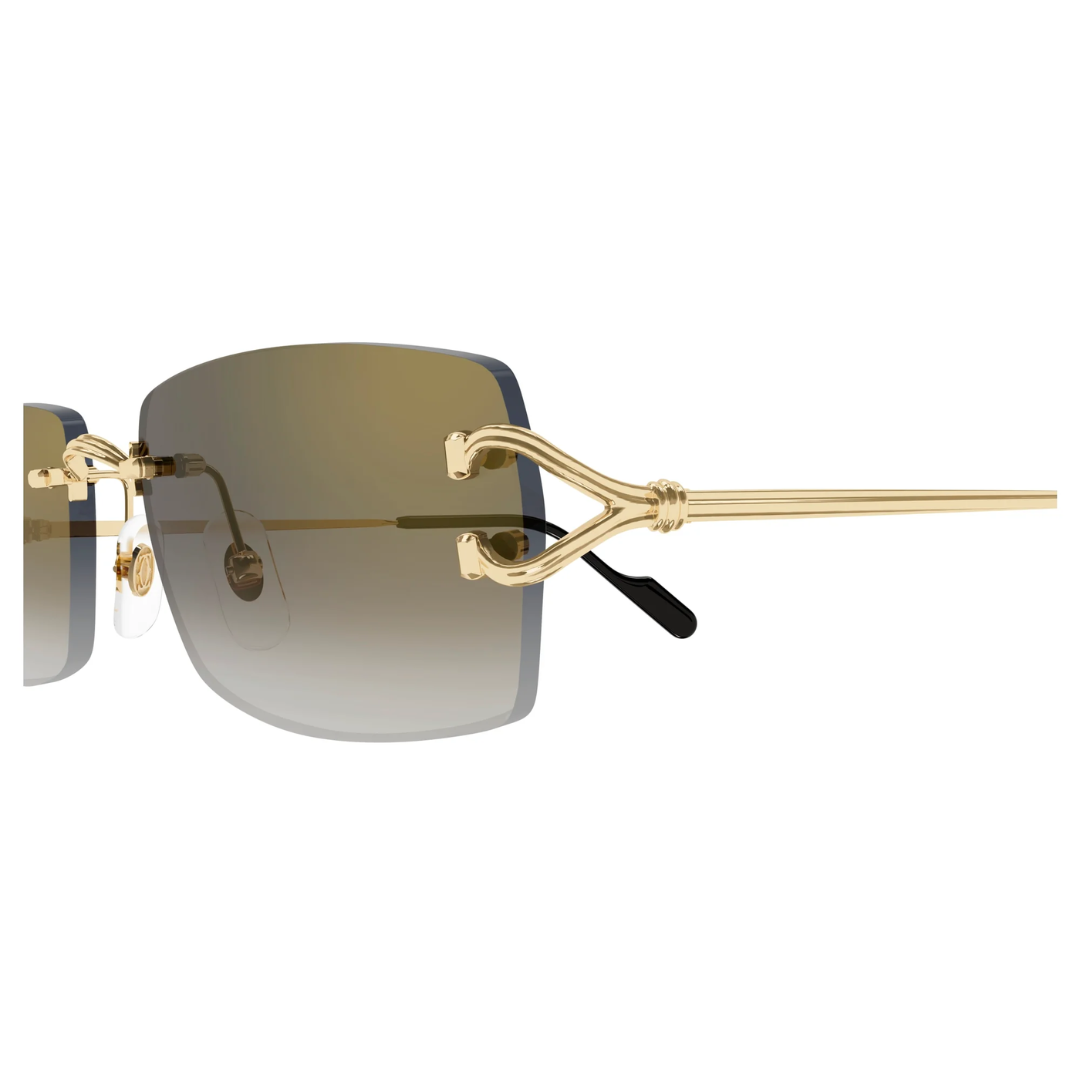 Cartier Ct0550s 002
