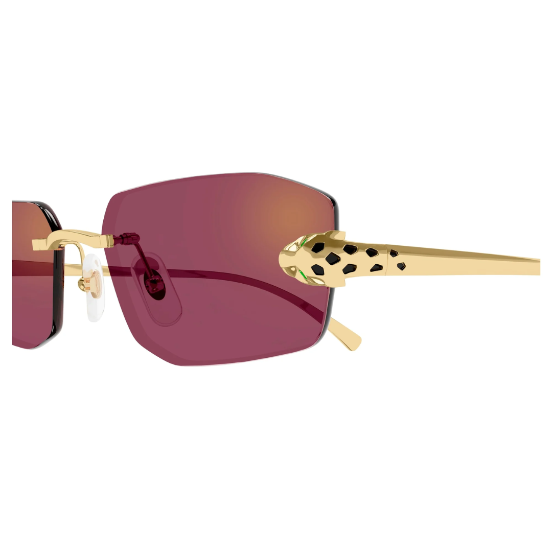 Cartier Ct0474s 002