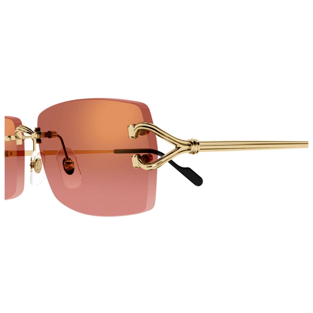 Cartier CT0550S 005