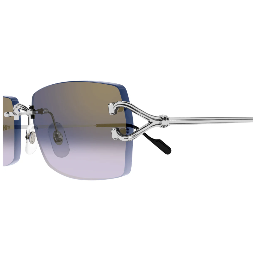 Cartier Ct0550s 004