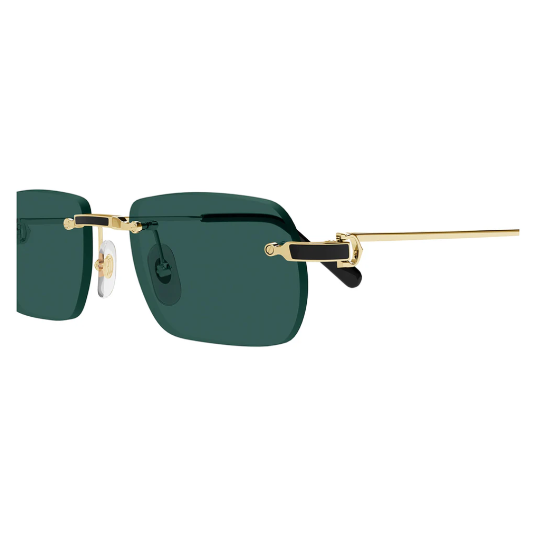 Cartier Ct0498s 003