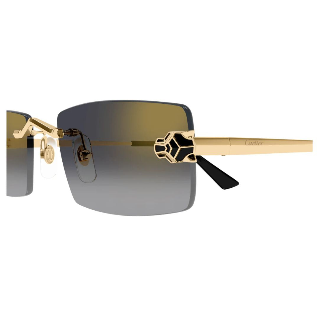 Cartier  Ct0598s 001