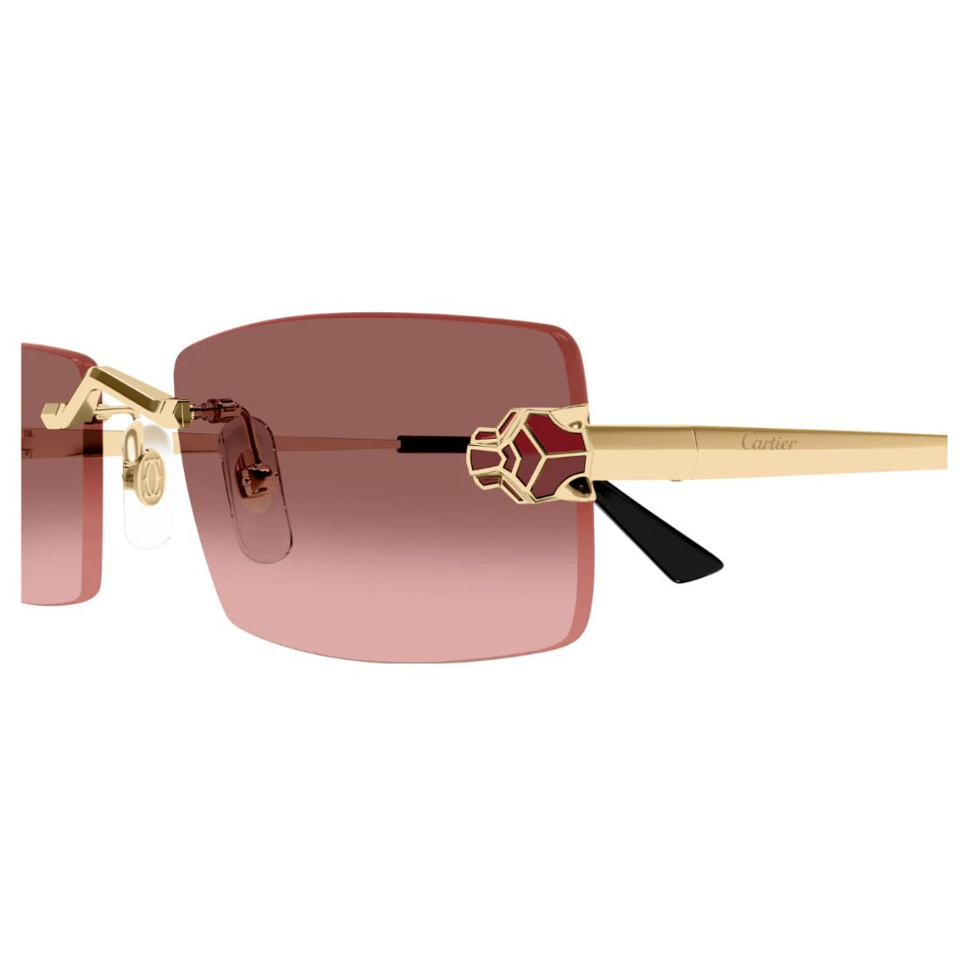 Cartier CT0598S 004