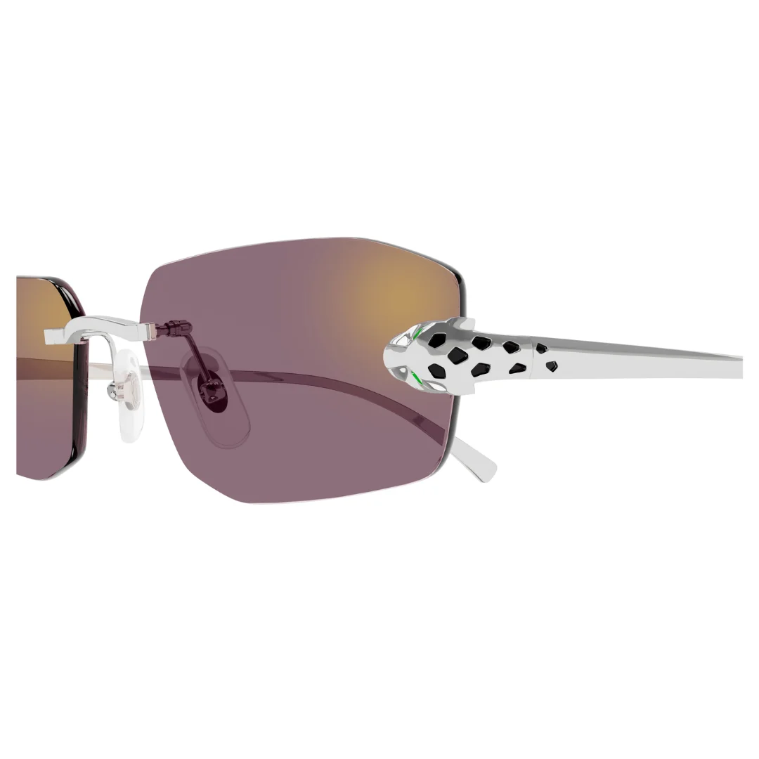 Cartier Ct0474s 004