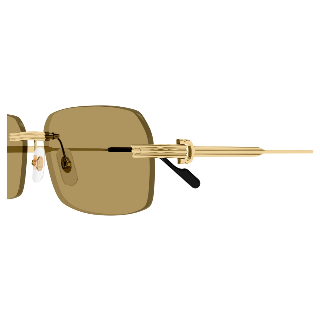Cartier Ct0271s 009