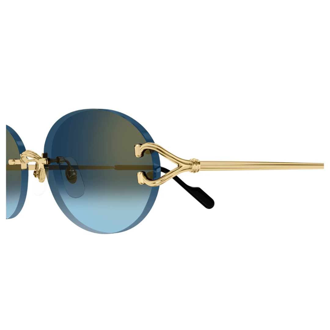 Cartier Ct0551s 002