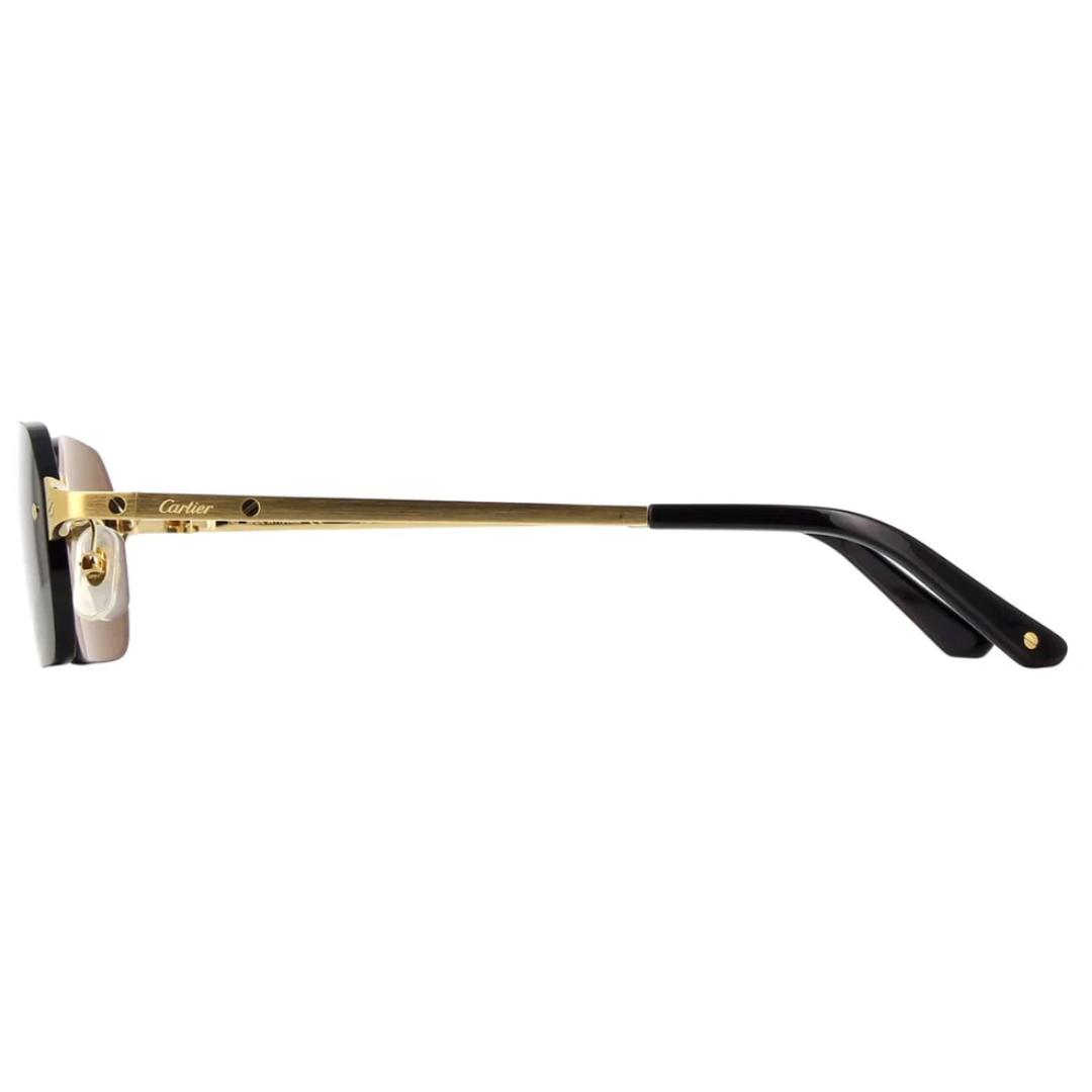 Cartier Ct0460s 001