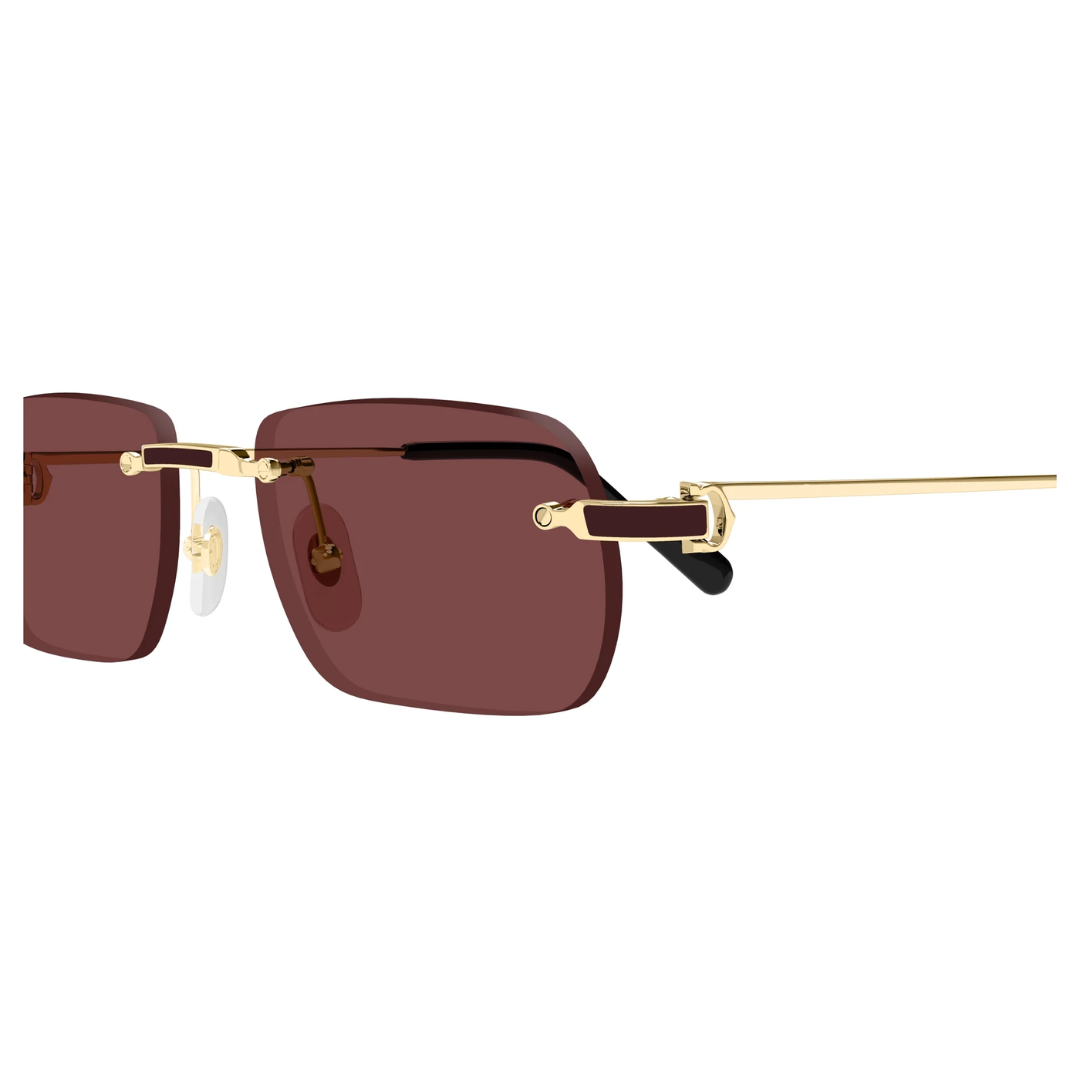 Cartier Ct0498s 002