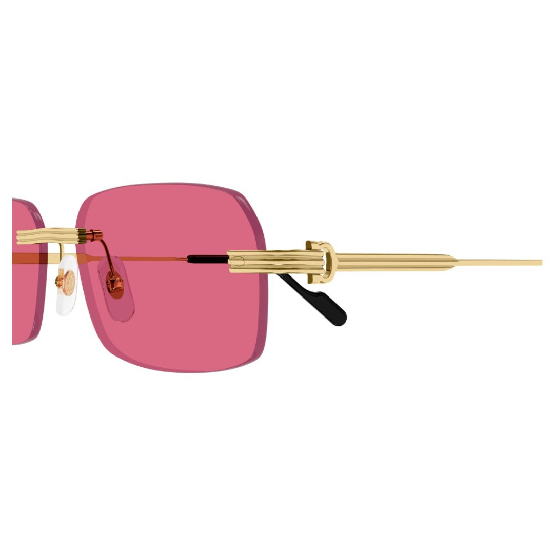 Cartier Ct0271s 010