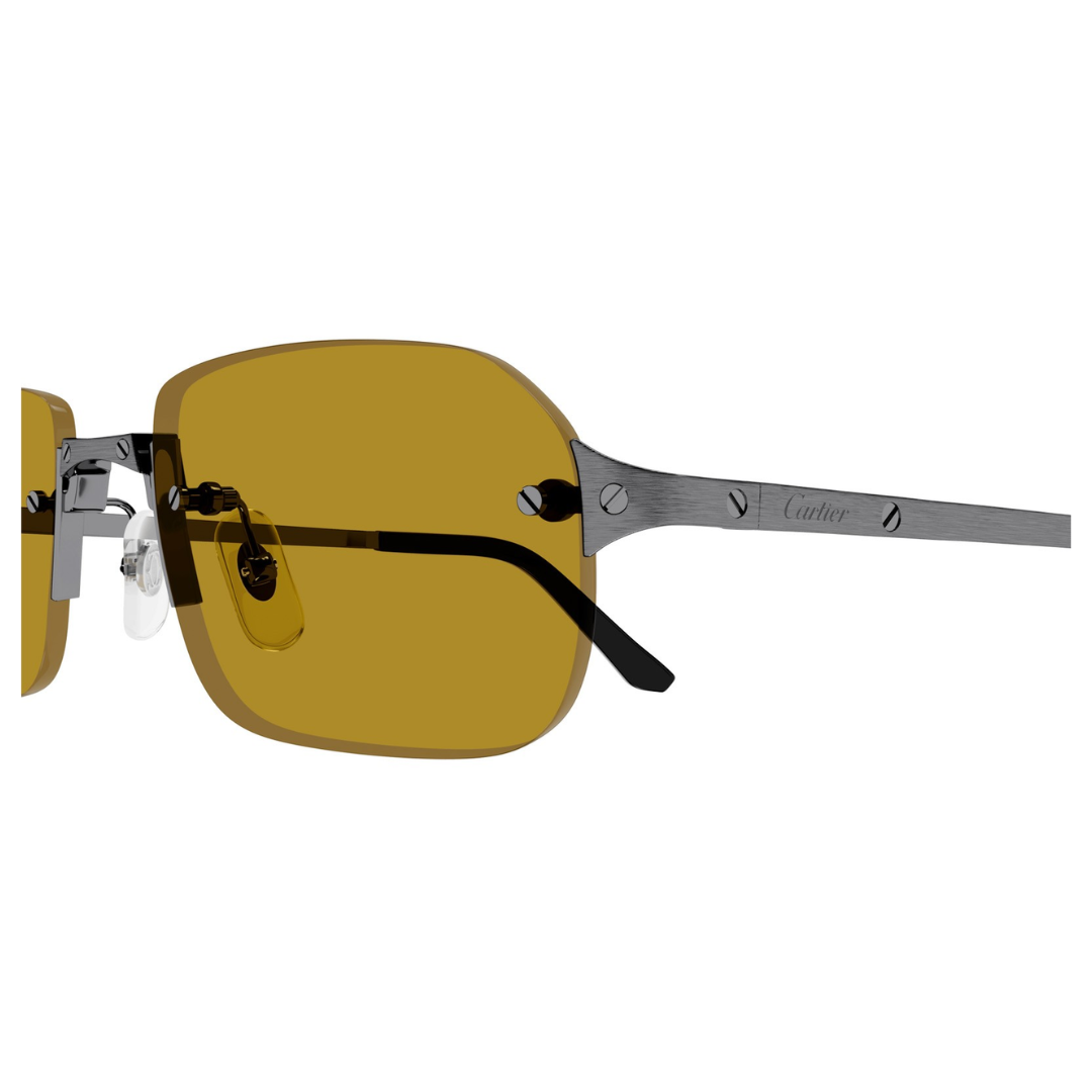 Cartier Ct0460s 004