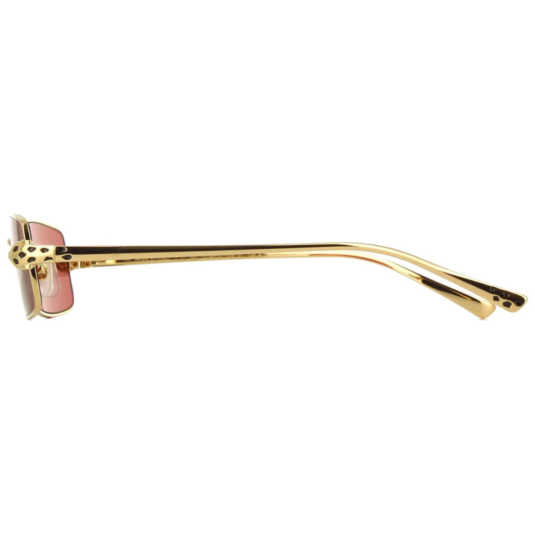 Cartier Ct0473s 002