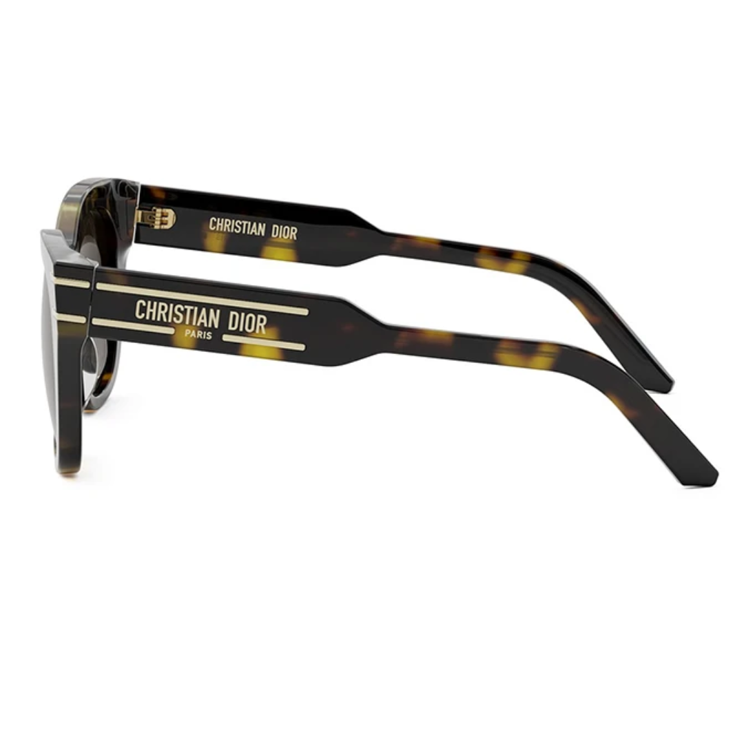 Dior Signature B41 20F1