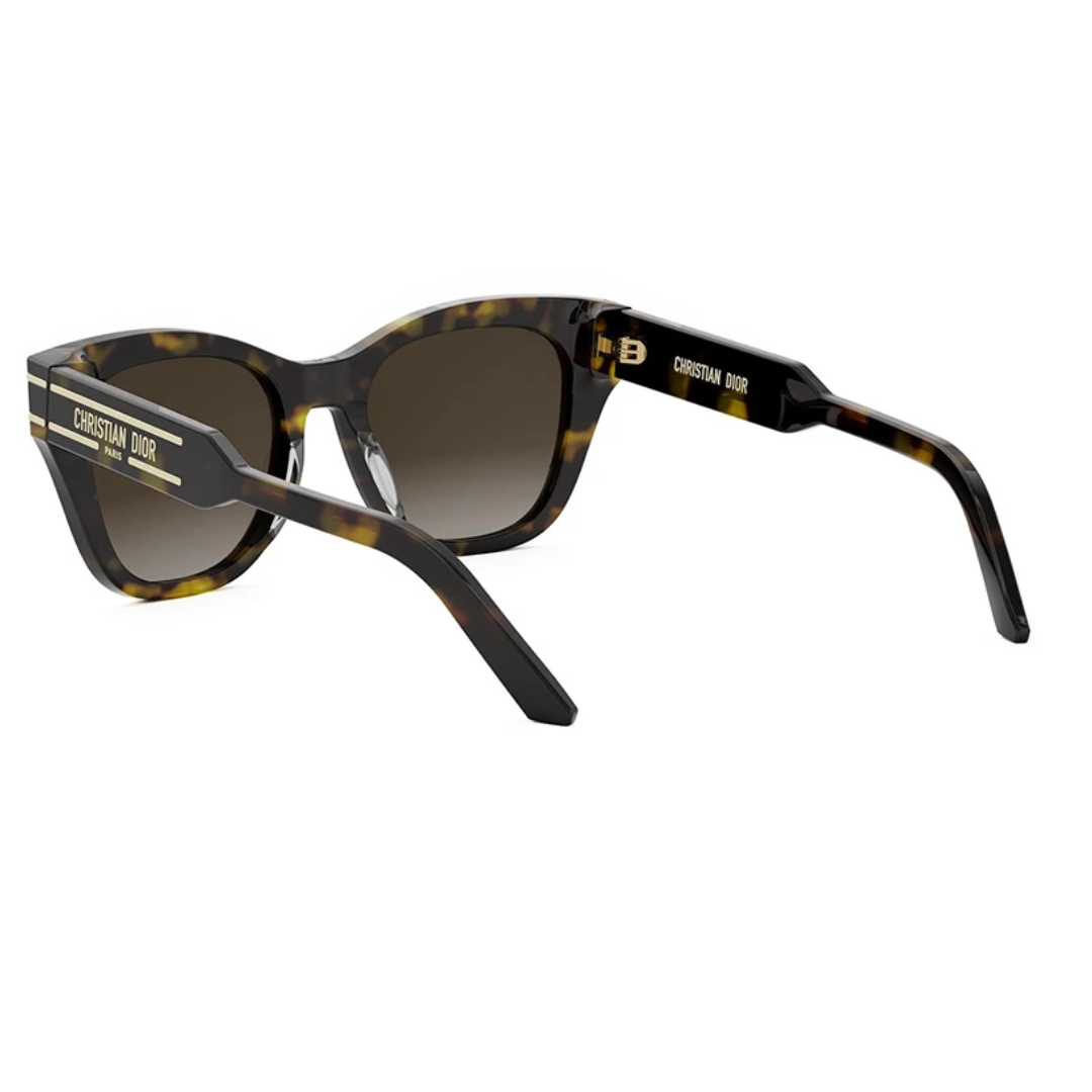 Dior Signature B41 20F1