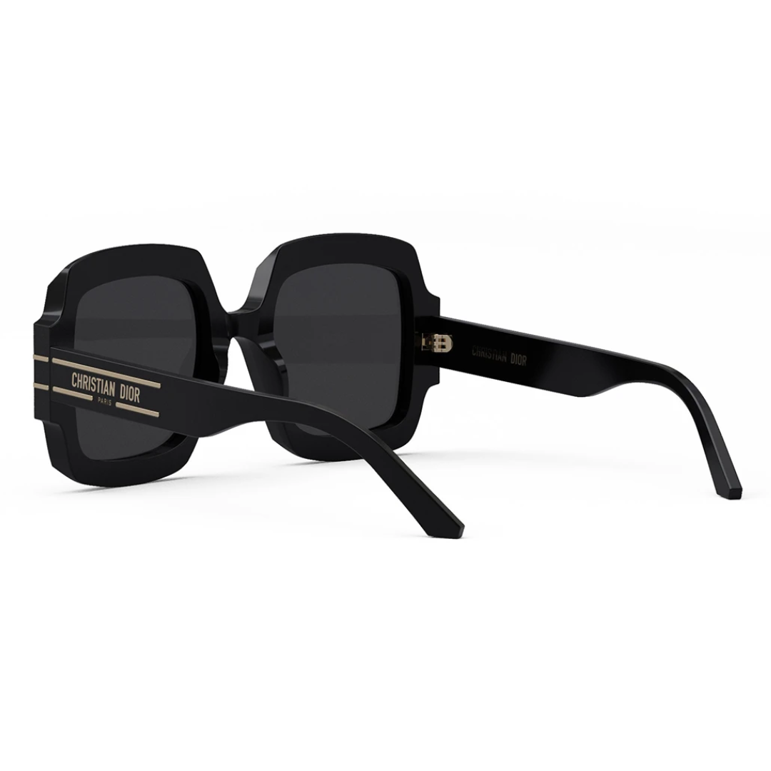 Dior Signature s1u 10A0