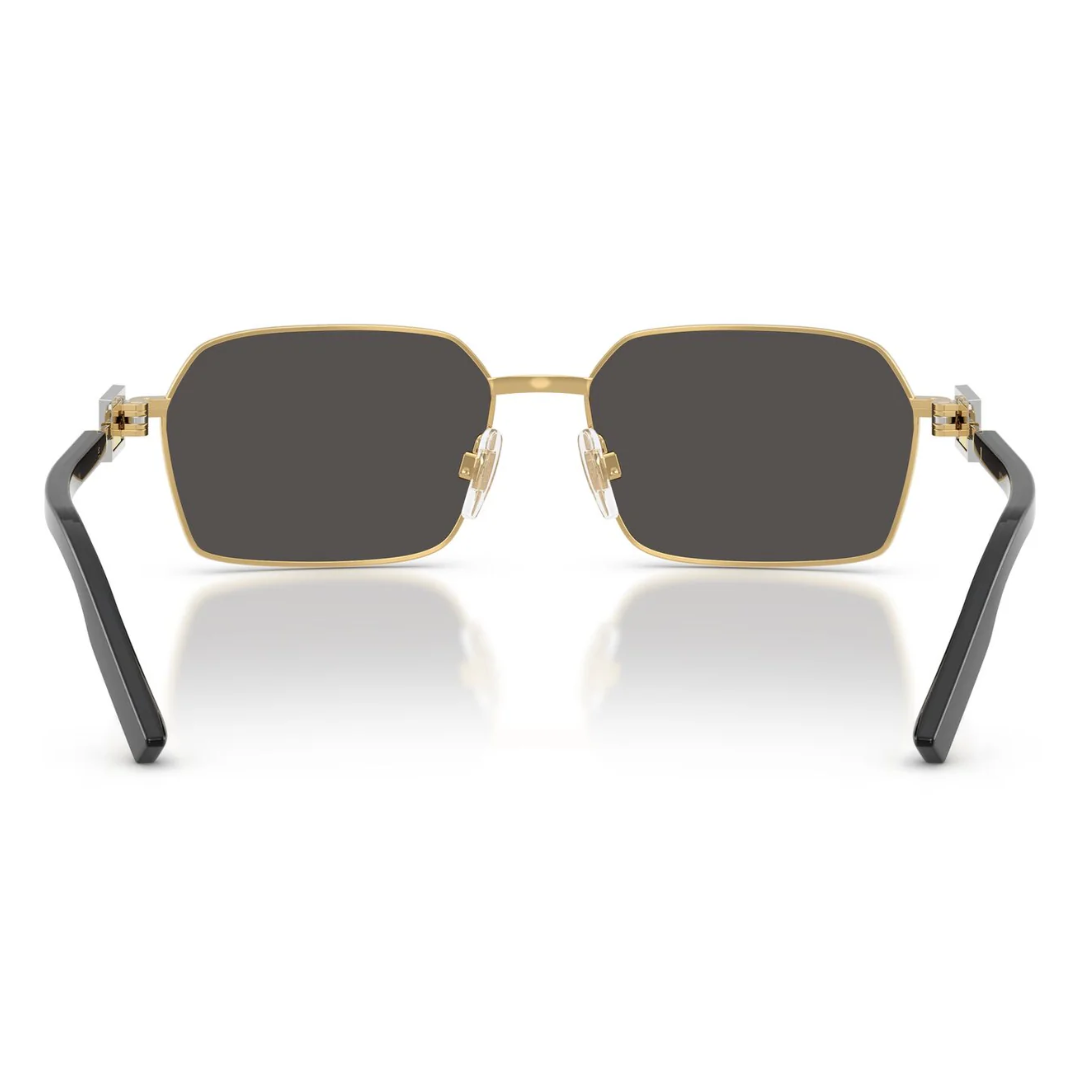 Dolce & Gabbana  Dg2316 02/87