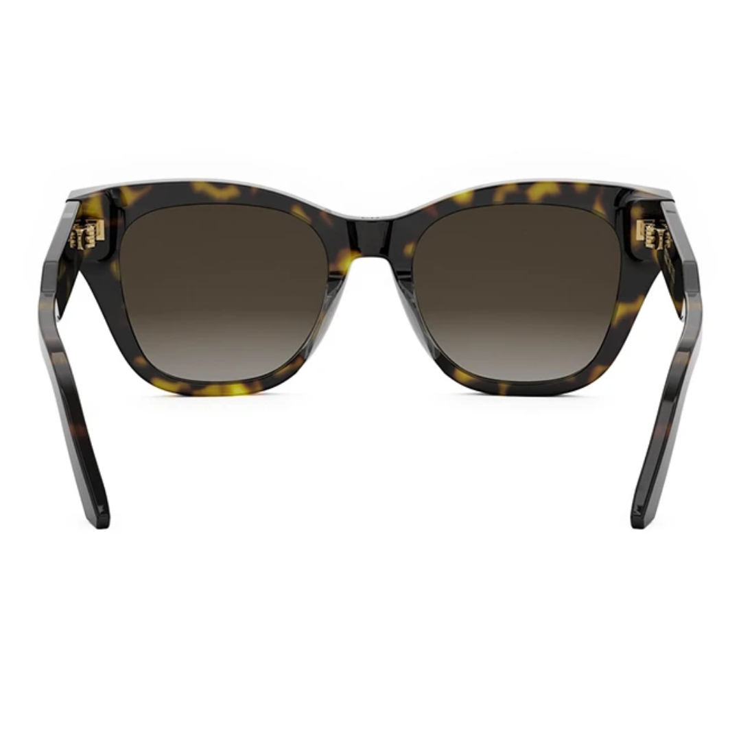 Dior Signature B41 20F1