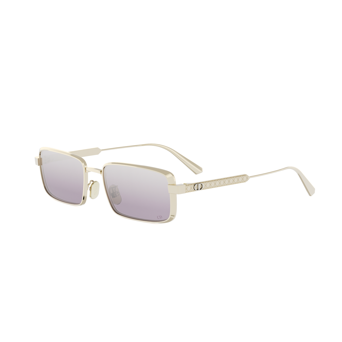 DIOR CANNAGE S2U C0G6