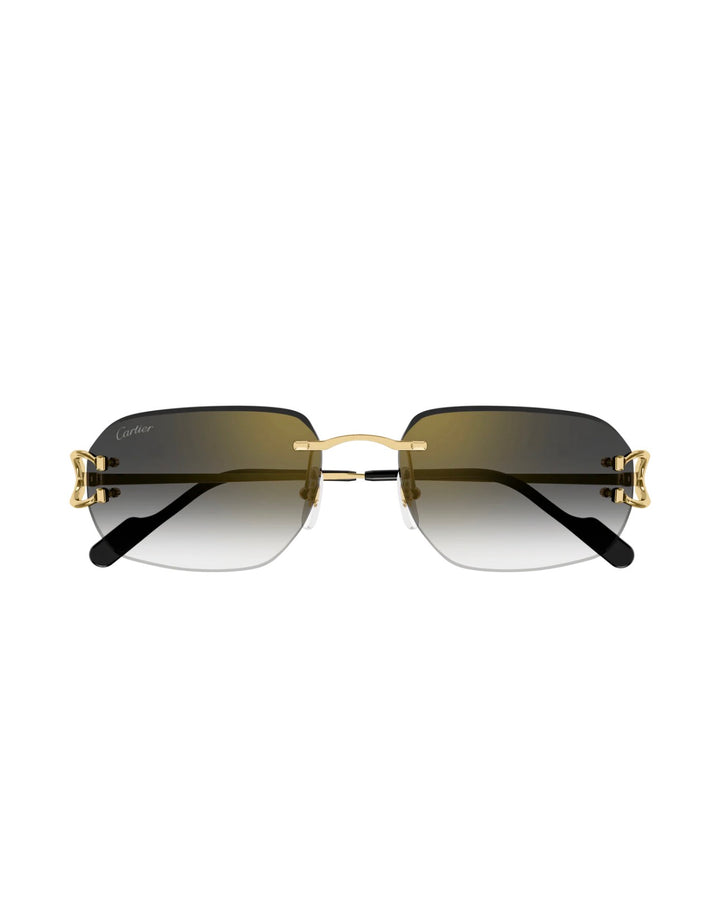 Cartier CT0468S 001