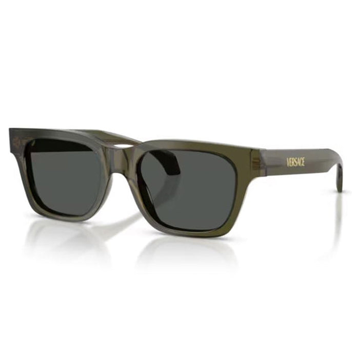 Versace VE4486 5542/87